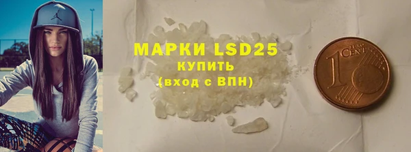 стафф Бородино