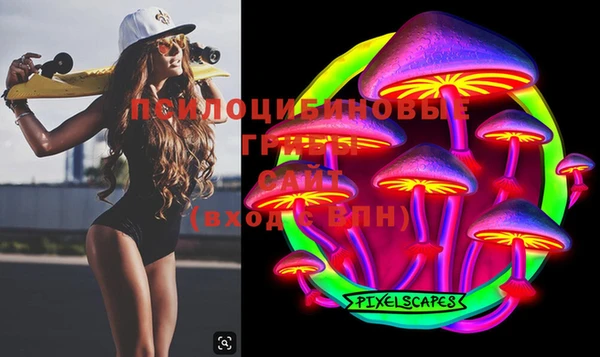 стафф Бородино