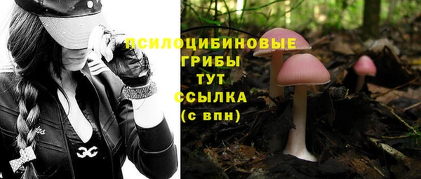 марки lsd Бугульма